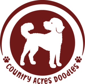 Country Doodles Logo